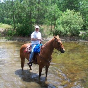 Meet your Posher, Shelby